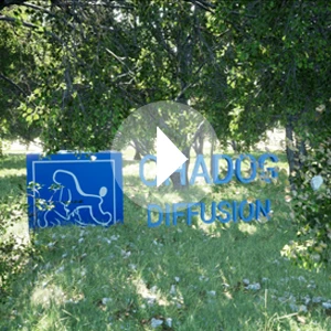 Logo Chadog printemps