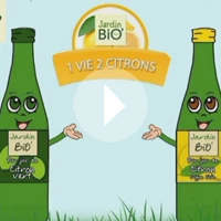 une vie 2 citrons